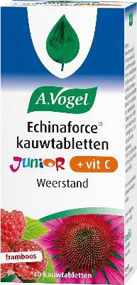 A VOGEL ECHINAFORCE JUNIOR VIT C 40ST