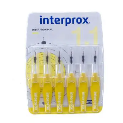 INTERPROX PREMIUM RAGERS MINI 6