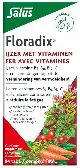 SALUS FLORADIX IJZER-TABLETTEN 84