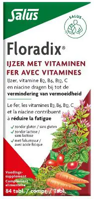 SALUS FLORADIX IJZER-TABLETTEN 84